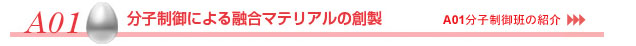 A01 分子制御による融合マテリアルの創製