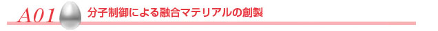 分子制御による融合マテリアルの創製