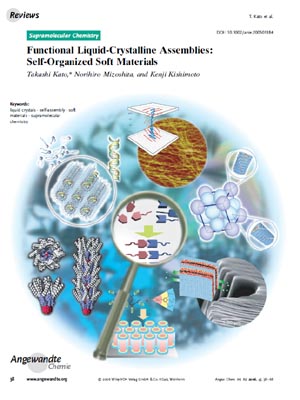 Angew. Chem. Int. Ed. Cover Image