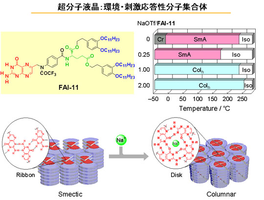 �����q�t���F���E�h�����������q�W����