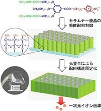 1�����C�I���`�����t�B����