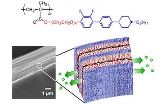 2�����C�I���`�����t��