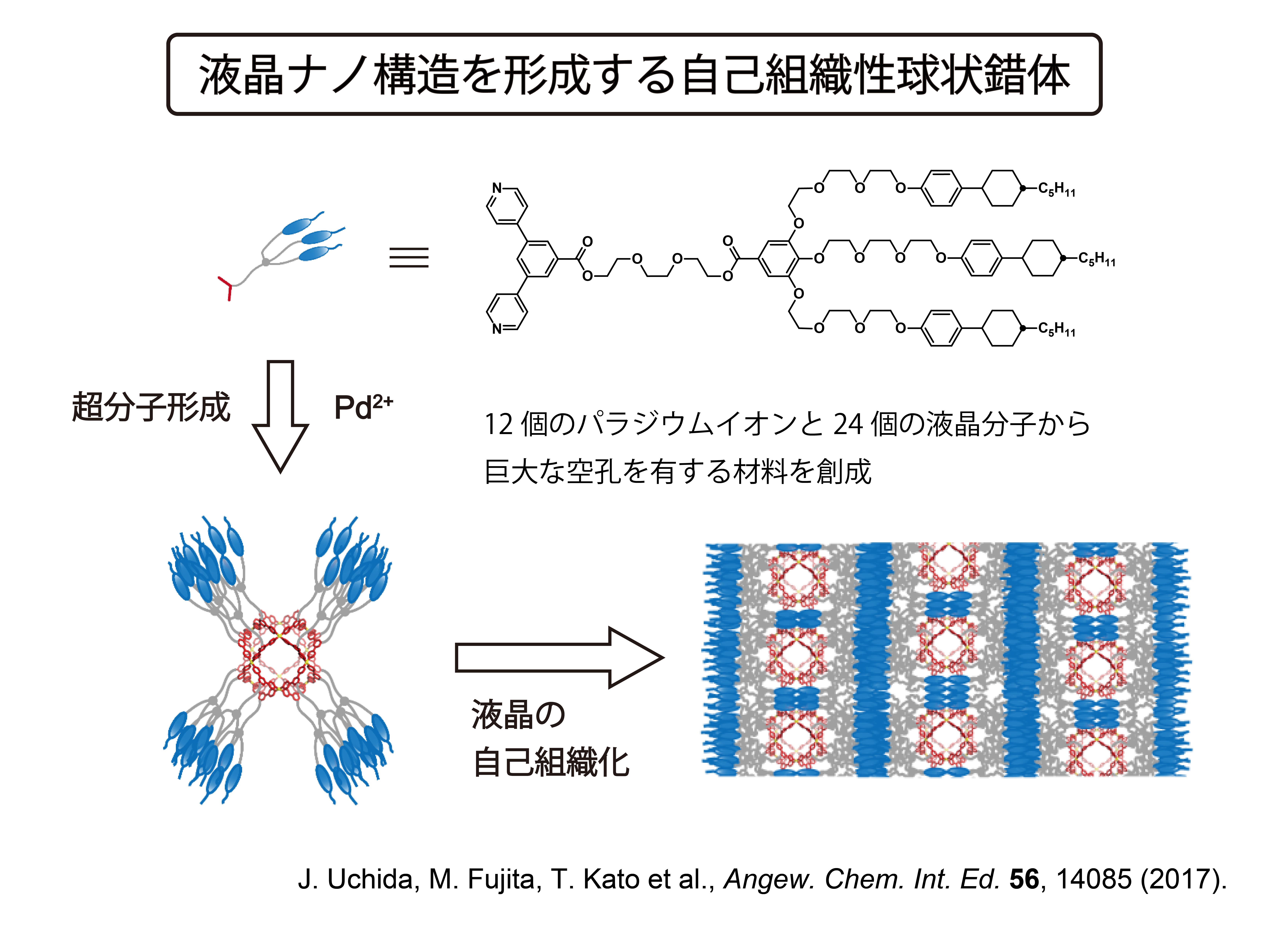 �h���ɉ����Ĕ����F���ω�����t���ޗ��̊J��